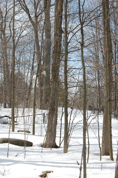 DSC 0175