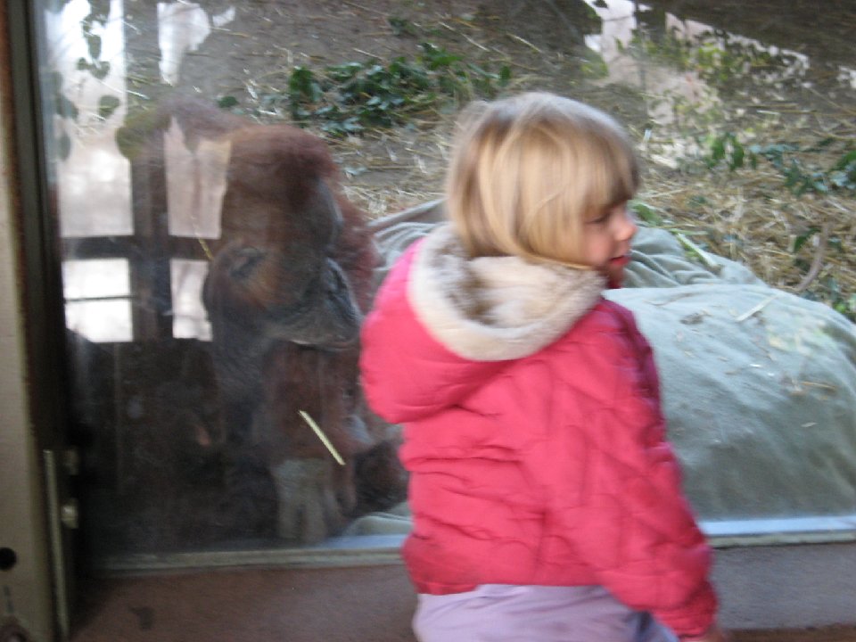 IMG 6788