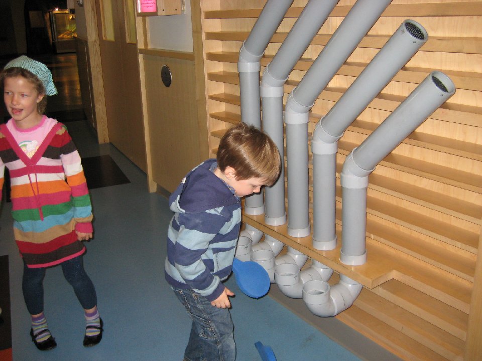 IMG 6879