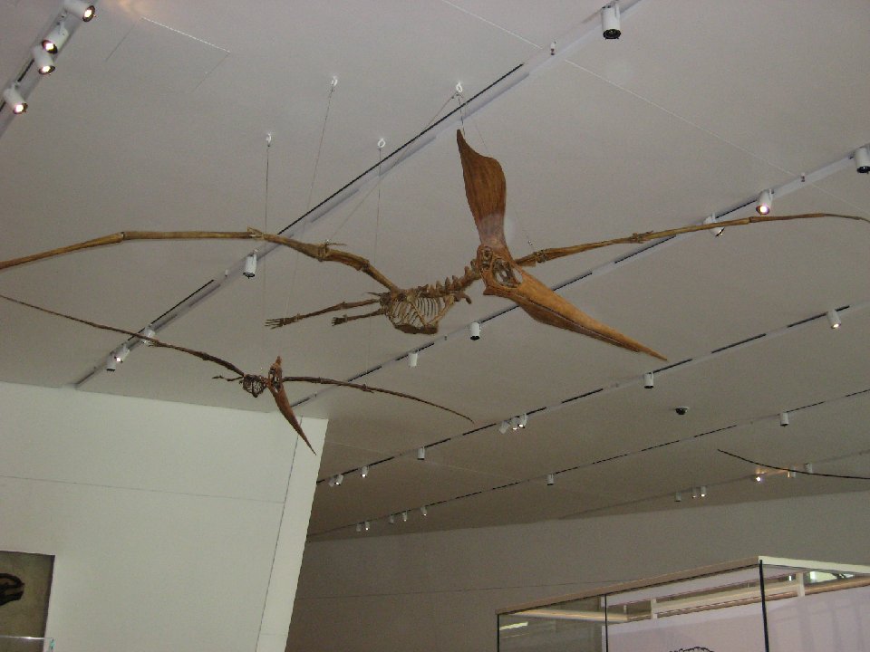 IMG 6924