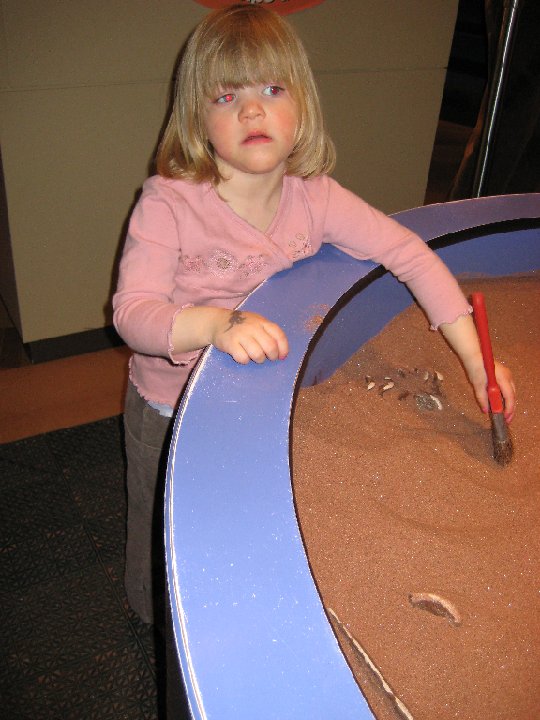 IMG 6929