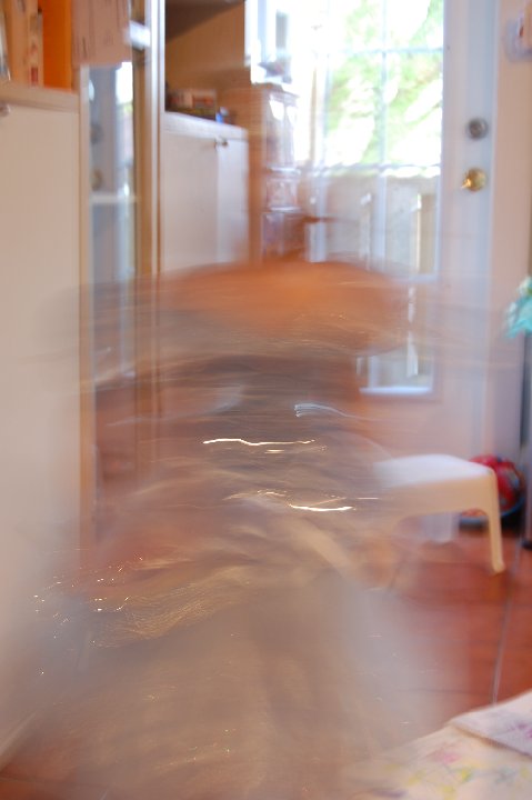 DSC 0169