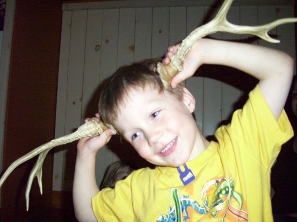 N880050153 3323285 3368