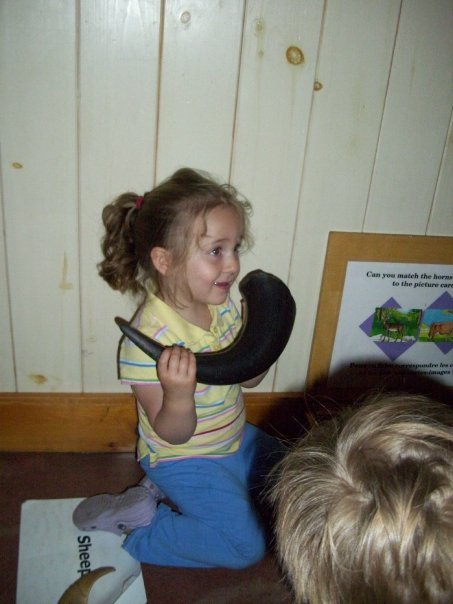 N880050153 3323286 3699