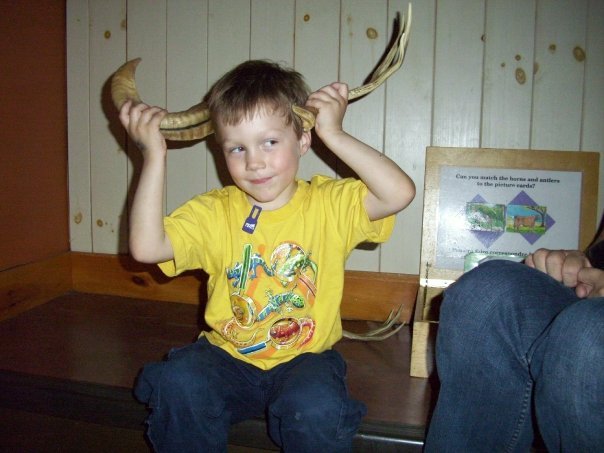 N880050153 3323288 4384