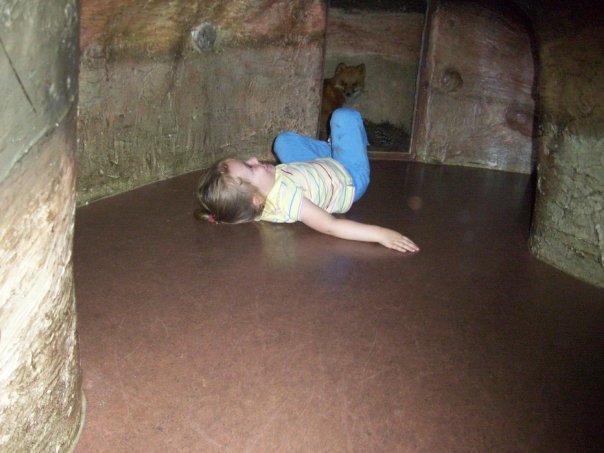 N880050153 3323292 5802