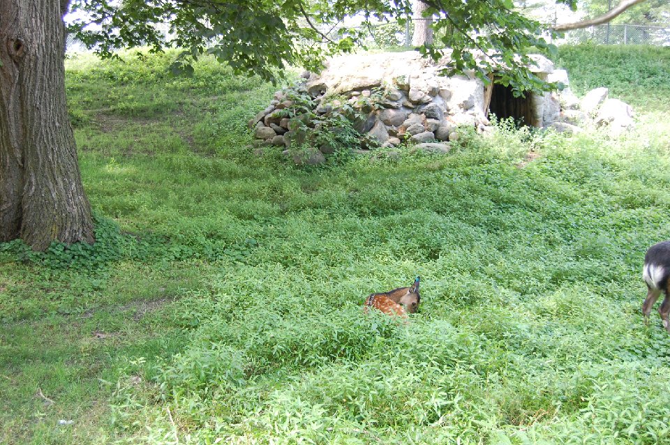 DSC 0195