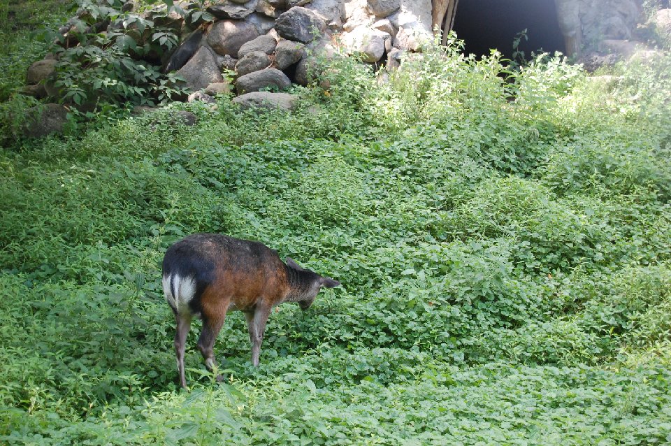 DSC 0197