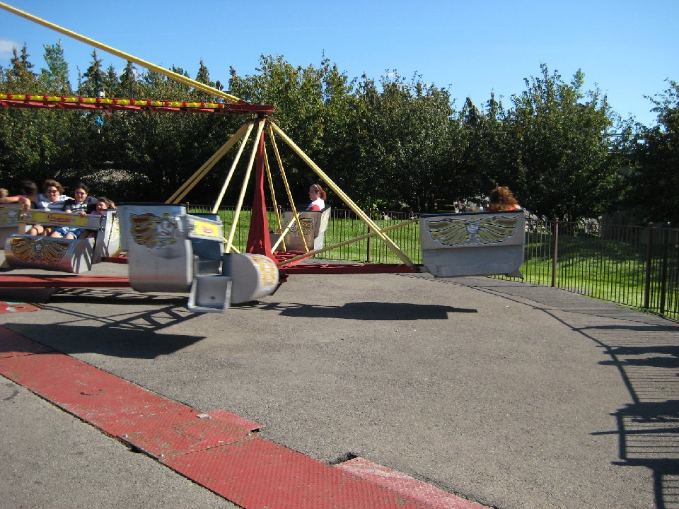 IMG 0610