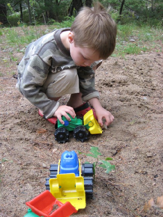 IMG 1173