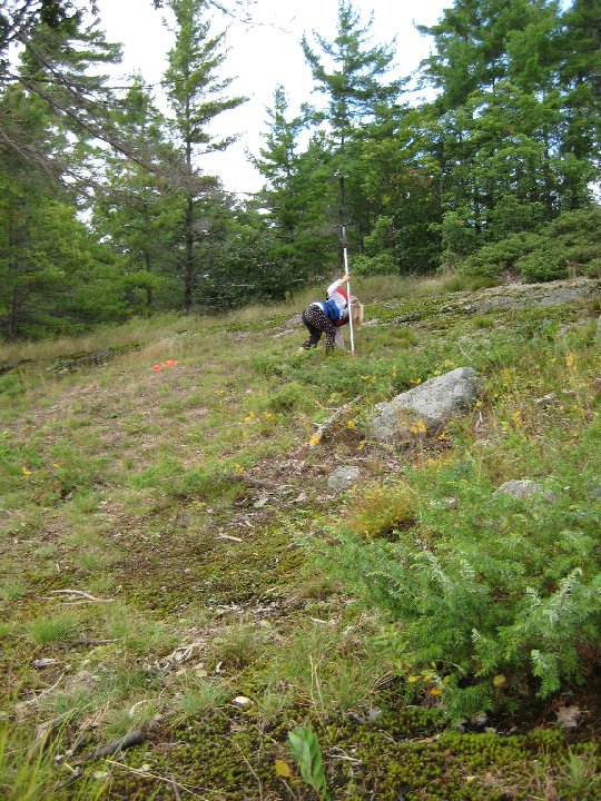 IMG 1183