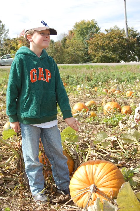 DSC 0042