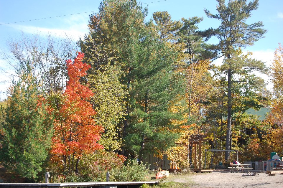 DSC 0364