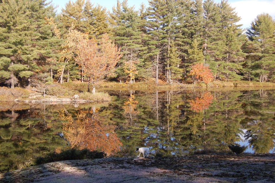DSC 0445