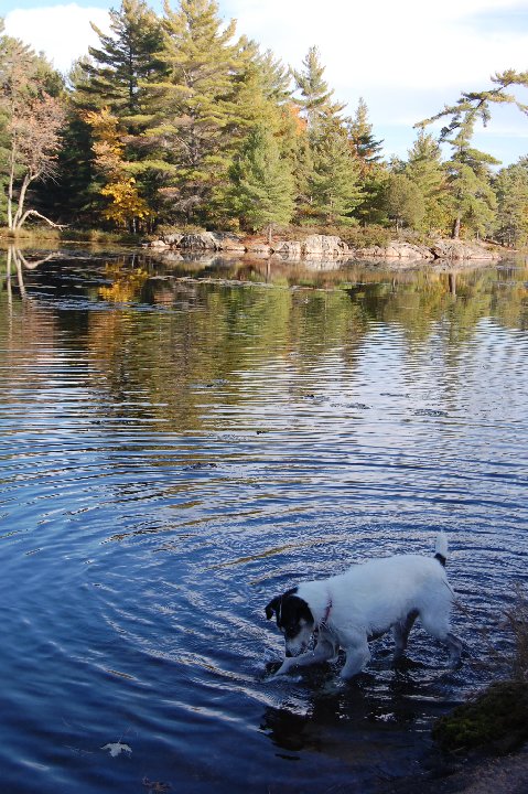 DSC 0464