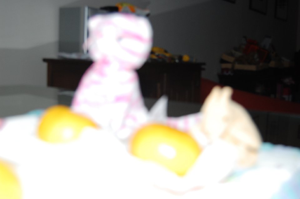 DSC 0034