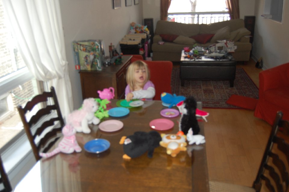DSC 0038