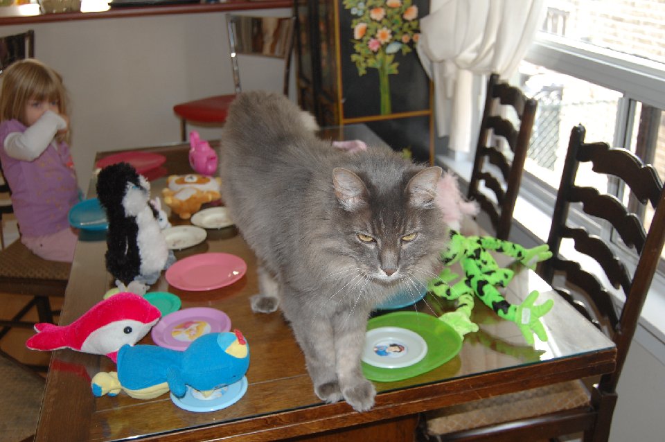 DSC 0079