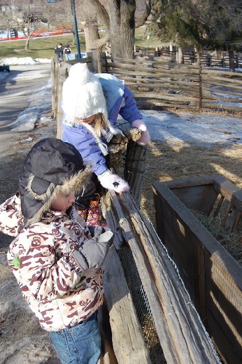 DSC 0260