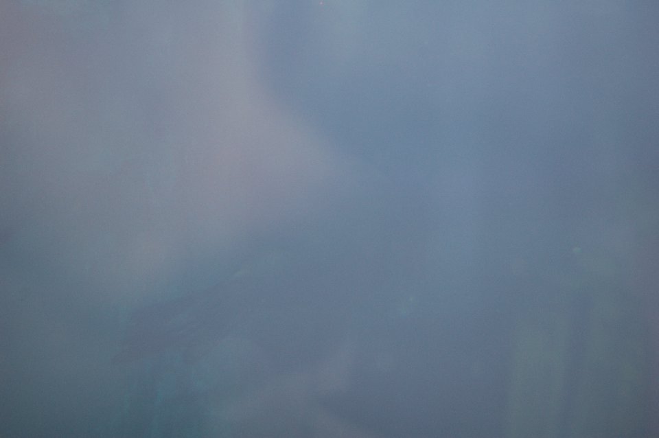 DSC 0558