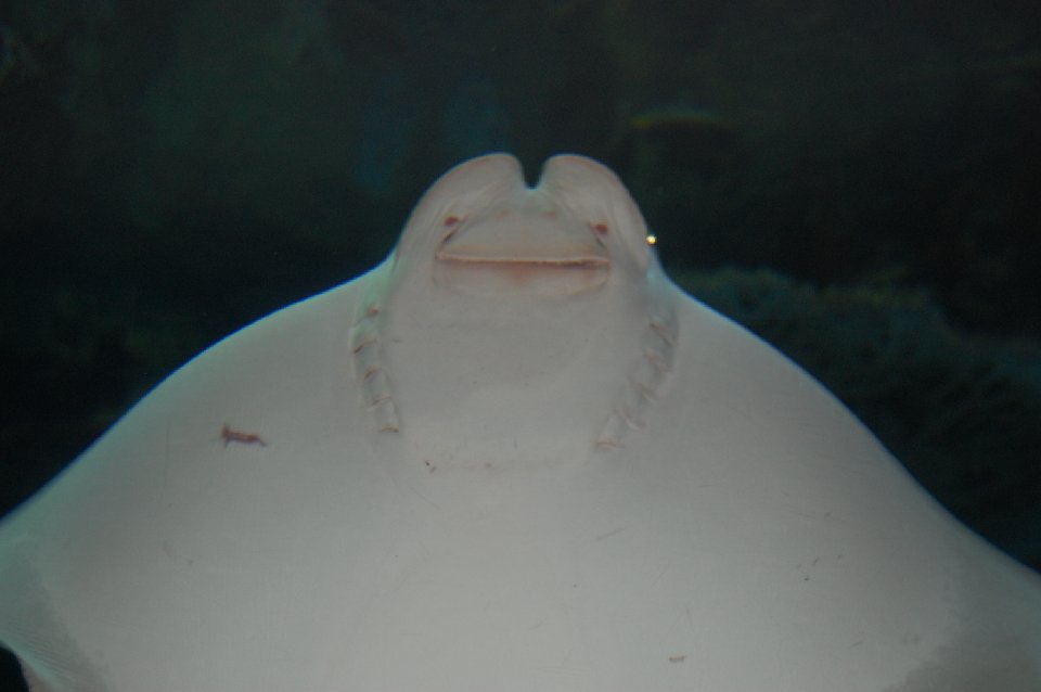 DSC 0595