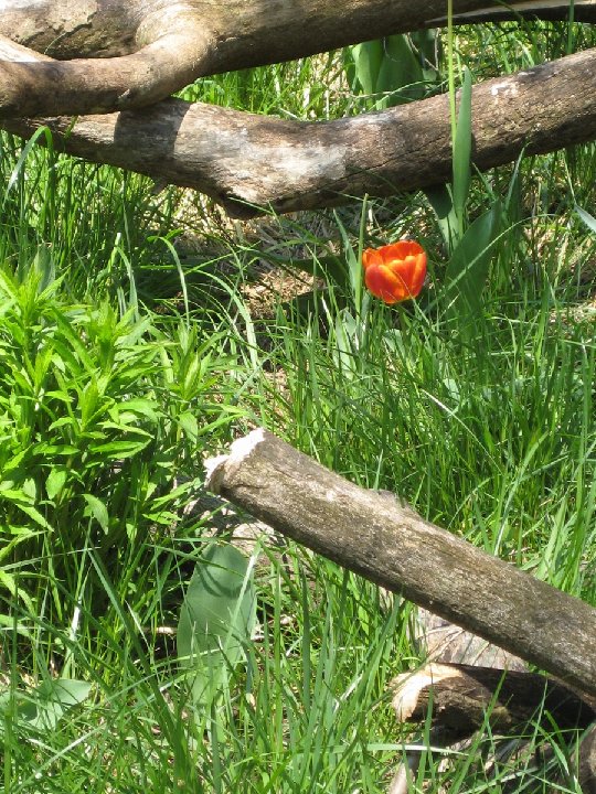 MINI-IMG 1932