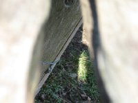 IMG_1898.JPG