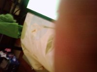 0511091320-00.JPG