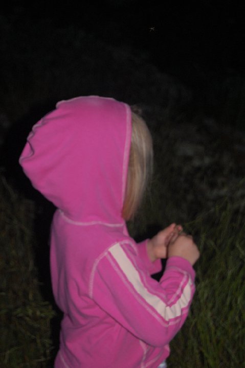 DSC 0259