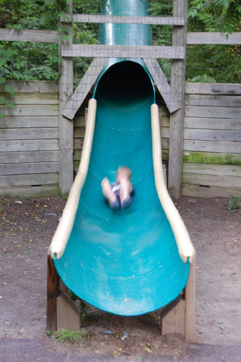 DSC 0470