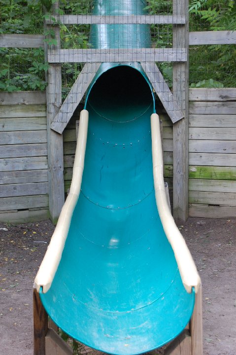 DSC 0478