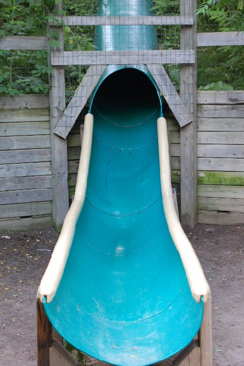 DSC 0479