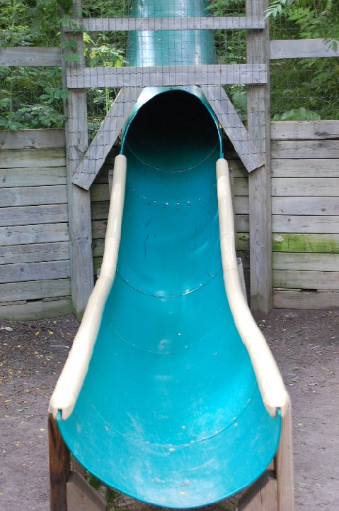 DSC 0491