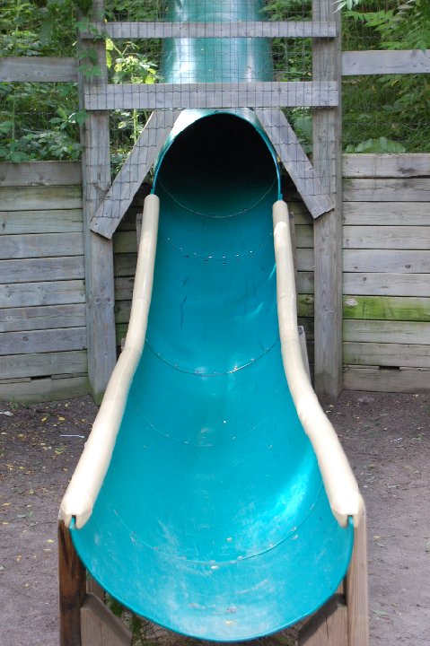 DSC 0493