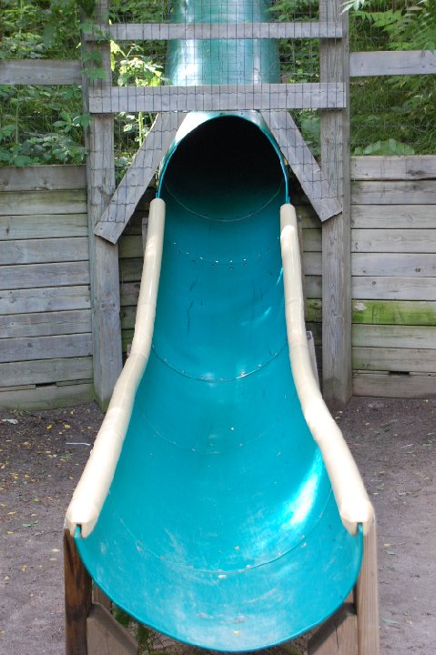 DSC 0495