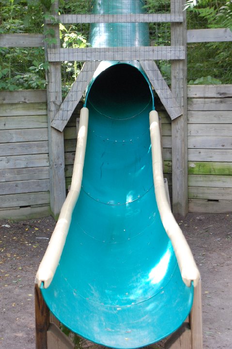 DSC 0499