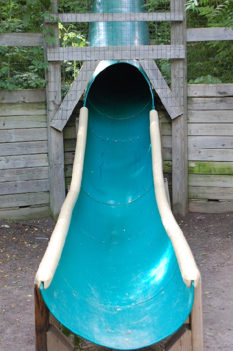 DSC 0501