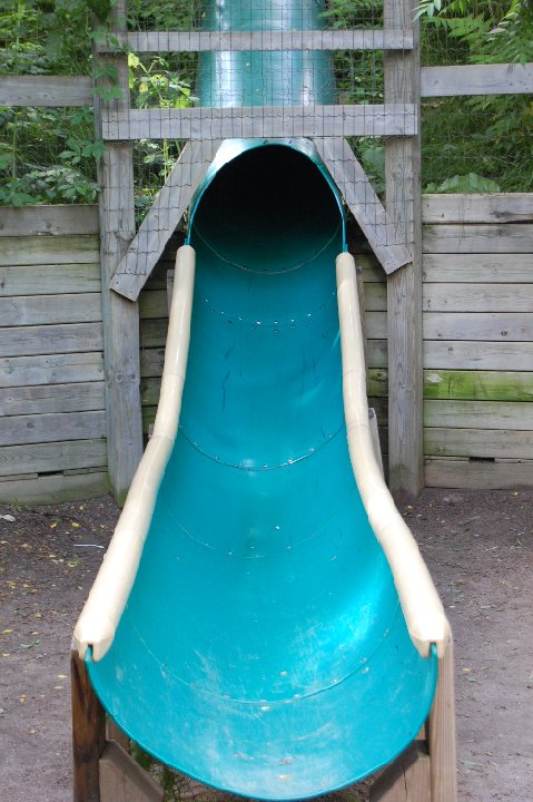 DSC 0502