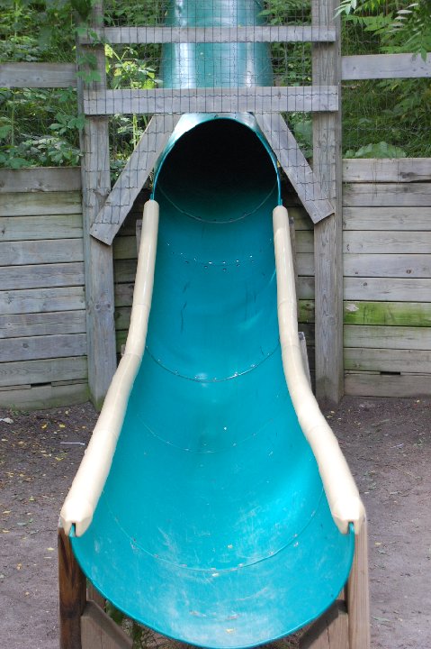 DSC 0503