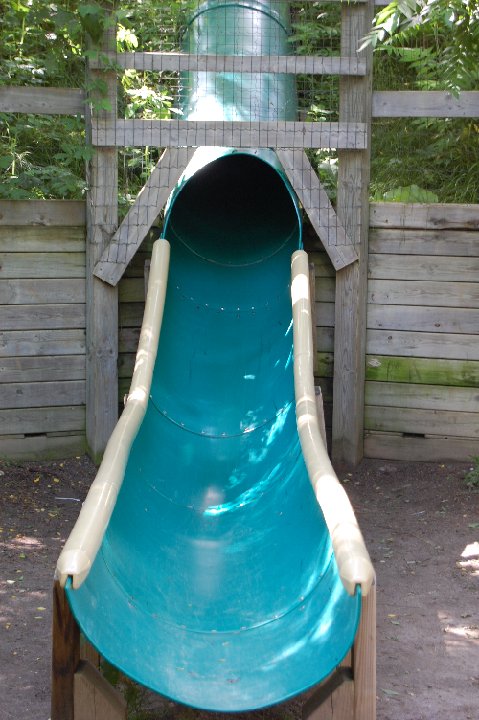 DSC 0515