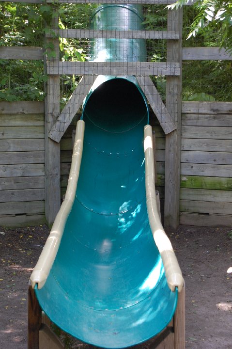 DSC 0520