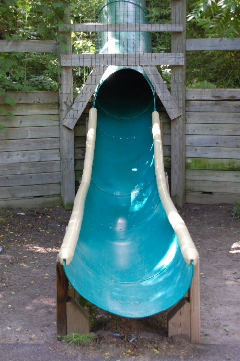 DSC 0541