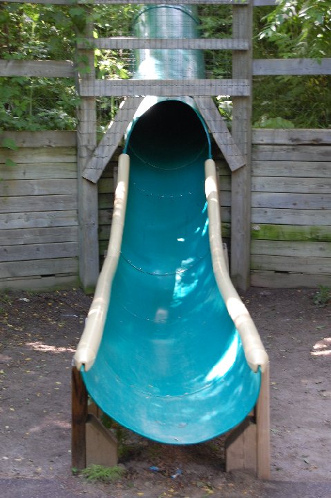 DSC 0542