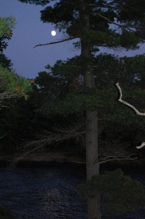 DSC 0608