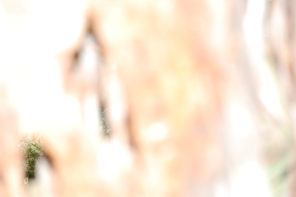 DSC 0137
