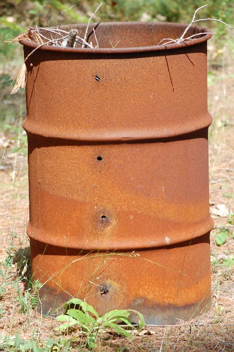 DSC 0219