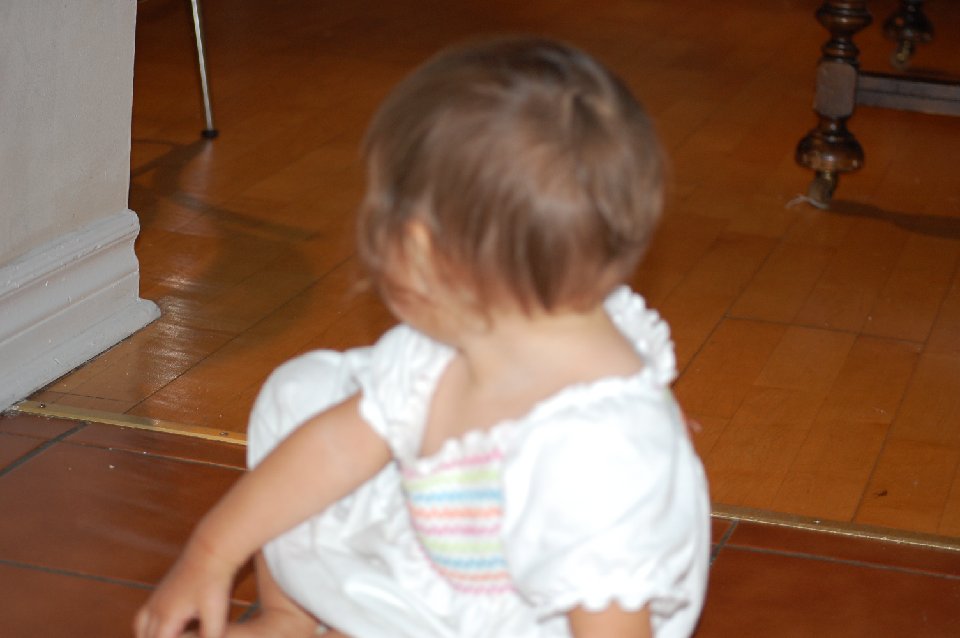 DSC 0315