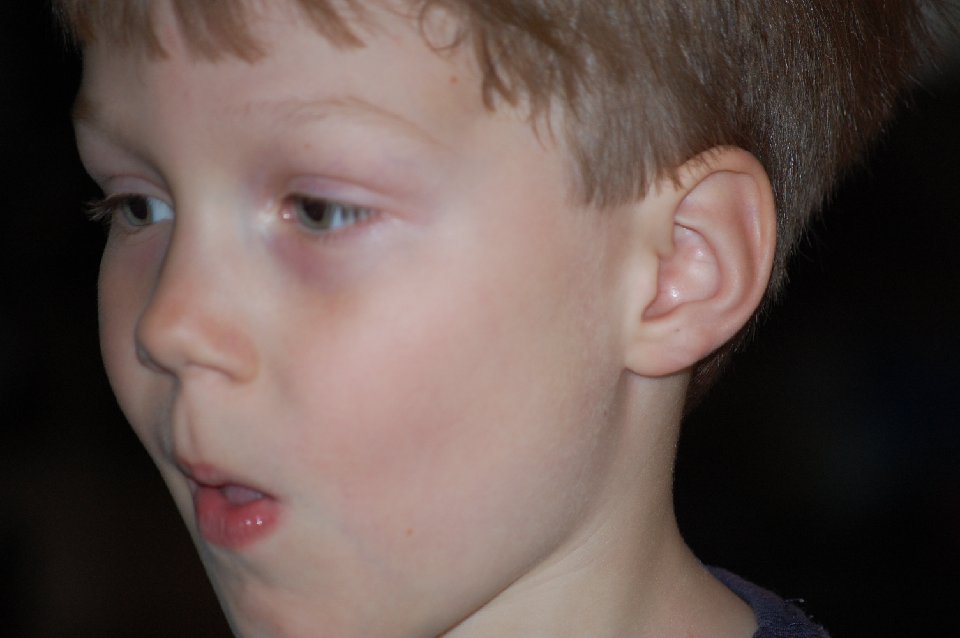 DSC 0365