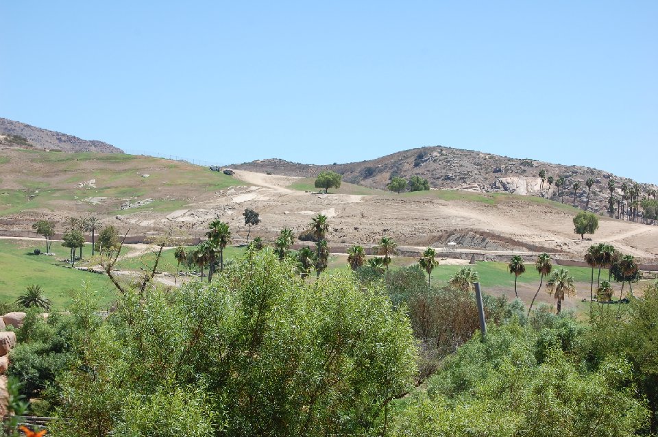 DSC 0096
