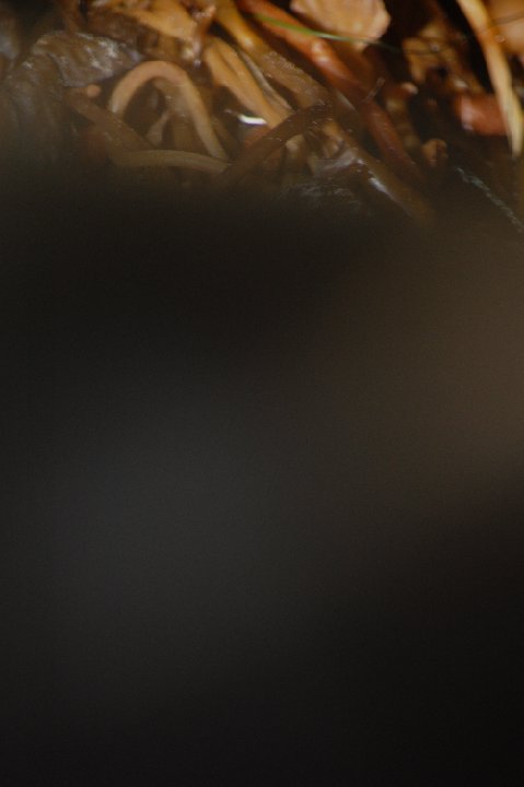 DSC 0488